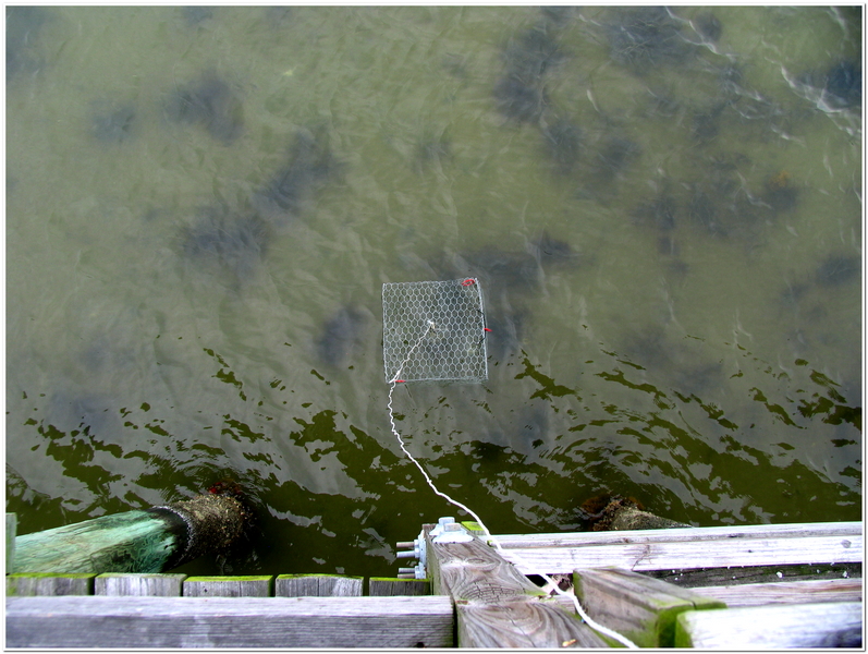 Click This Image To Enlarge...