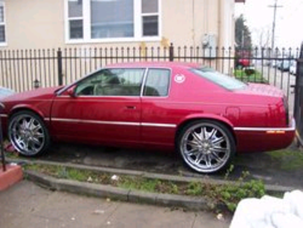 Random Photo Upload On Fri Jan 9th, 2009 at 2:23PM