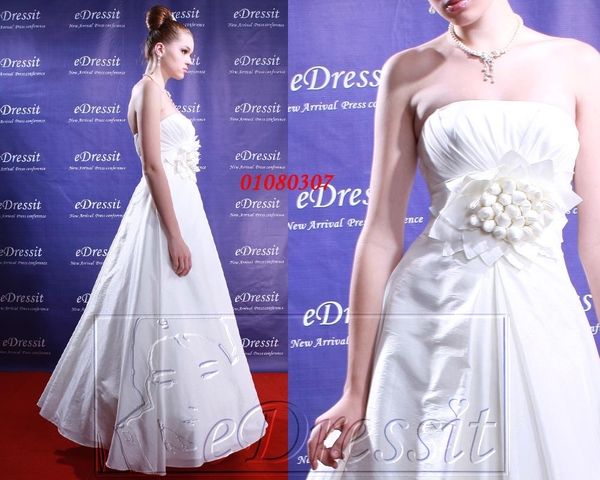 Random Photo Upload On Tue Jan 20th, 2009 at 7:41AM