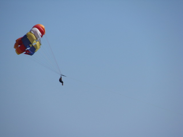 Random Photo Upload On Sun Mar 29th, 2009 at 7:14PM