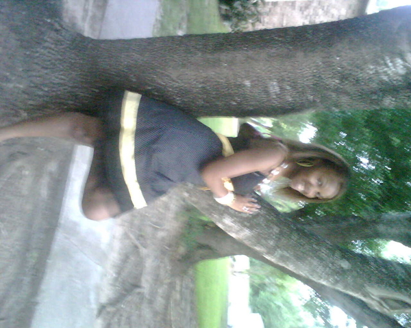 Random Photo Upload On Fri Jun 12th, 2009 at 3:36PM