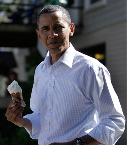:* VOTE OBAMA IN 2012 *: