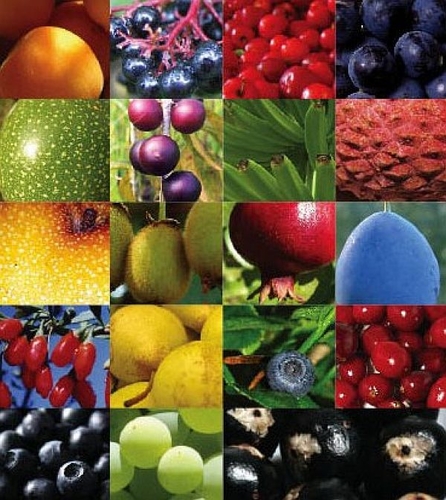 Help When You Need It: The Importance Of Anti-oxidants