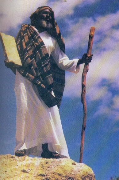 THE PHYSICAL APPEARANCE OF ANCIENT ISRAEL THE HEBREWS & THE SONS OF HAM