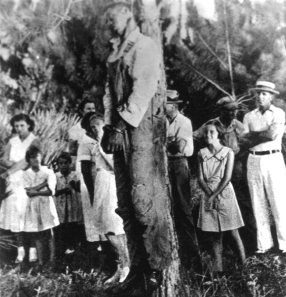 ~'Reparations - Not Forty Acres and A Mule' ~