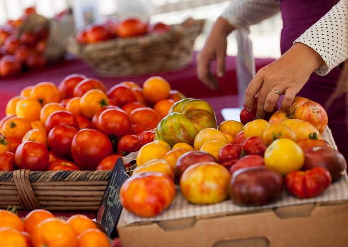 HOW THE GOP ARE PREACHING A FALSE GOSPEL ABOUT FOOD STAMPS! DO YOU AGREE?