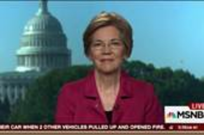 Senator Elizabeth Warren on the democrats’ path forward