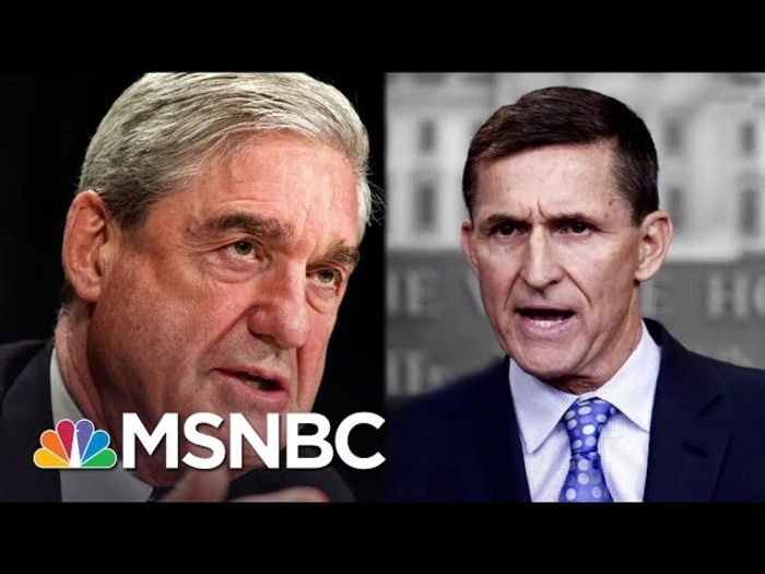 New Details On Robert Mueller's Investigation Of Michael Flynn | The 11th Hour