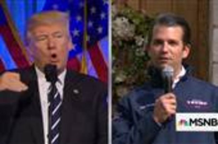 Trump Jr invents 'privilege' excuse to duck Russia questions