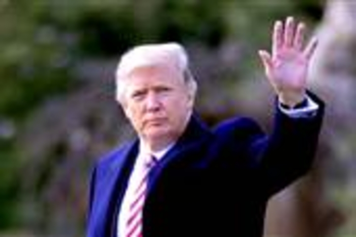 Trump plans to cut food stamps, deliver boxes of food