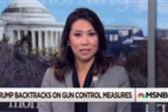 Trump gun proposal falls way short: Rep. Stephanie Murphy