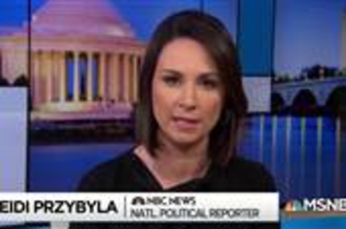 Senators make plan to preserve Mueller's work if not his job