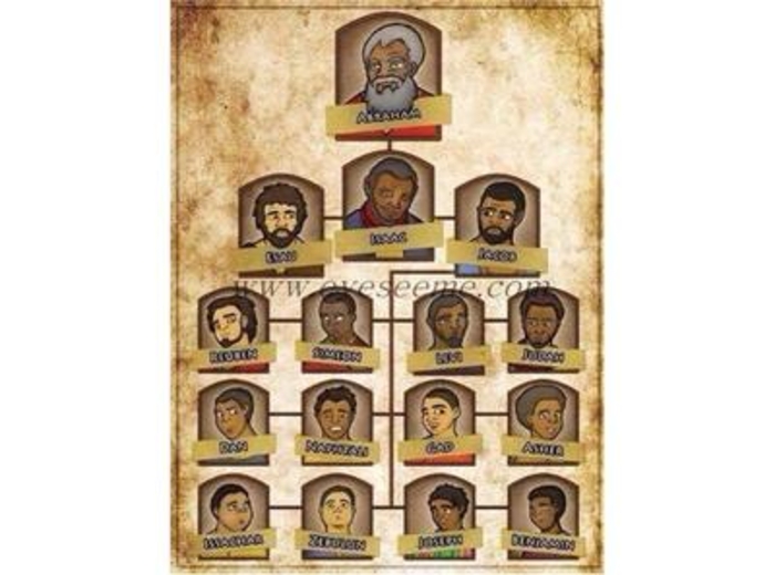 Anthropological And The Mystery Of The Holy Grafting