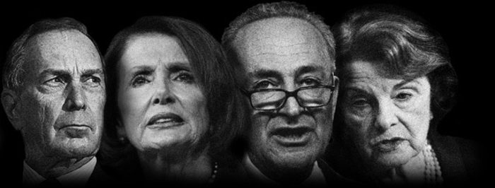 Your guns are on the ballot this November.
