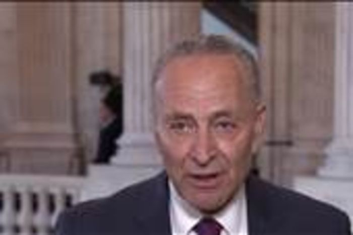 Sen. Schumer slams Trump for 'absurd' border remark