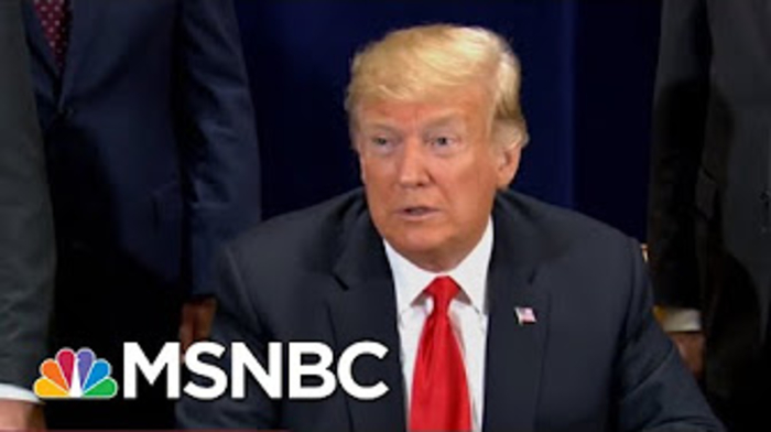 Russian Connected To Vladamir Putin Charged With Attempted Meddling In Midterms