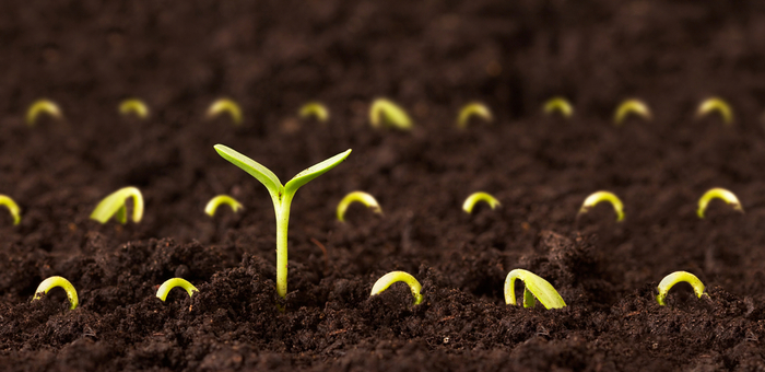 365 DAYS OF LOVE: GARDENING AND GROWING