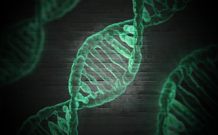 What Is Epigenetics?