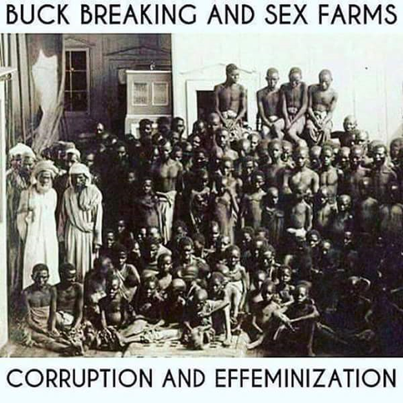 Let Us Talk Briefly About The Slave Breeding Process in America