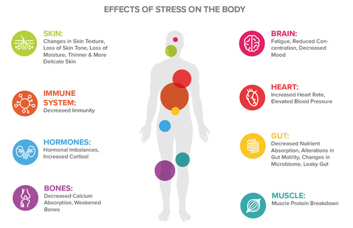 Are You Stressed Out?