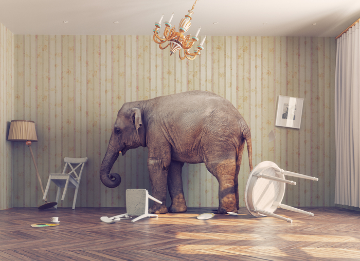 The Huge Elephant in the Room