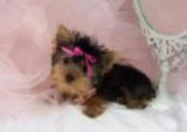 Pics of ME are coming out SOON!!!