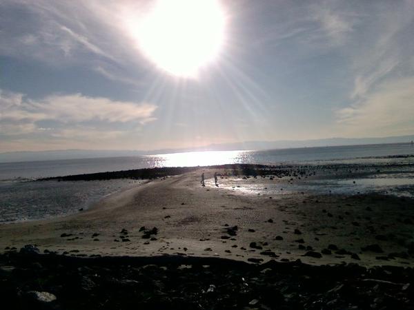 LIVIN LIFE @ DA BEST OF MY ABILITIES