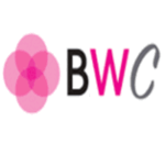 New Social Network Allows Professional African American Women To Connect Online