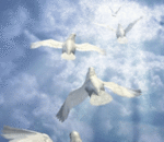 Philippians 4:4-9 (New International Version)