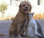 How do You Decide Who to Marry?  ...From the Mouths of Babes!!!  If You Need a Laugh, This is IT!