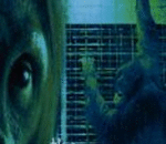 SUPPORT BLACK AUTHORS, TODAY!!!