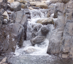 Morgan State or Clark Atlanta??