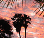 Thy kingdom come, thy will be done, on earth as it is in heaven