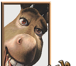 Inspiration true story! 