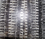 Are you Afraid of the past?