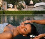 Pampering4life Bunny Thorpe